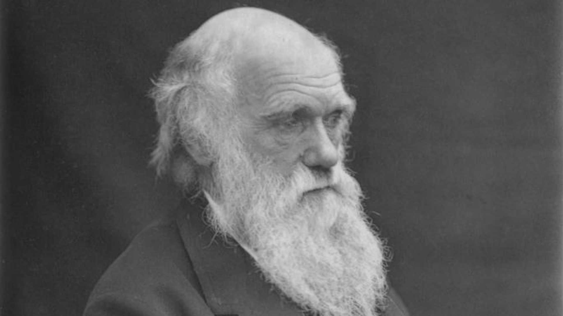 English naturalist and co-originator of the theory of evolution, Charles Darwin (1809 - 1882). (Photo by Spencer Arnold Collection/Hulton Archive/Getty Images)