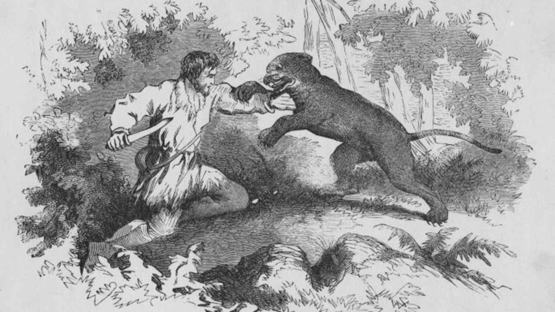 Etching of Crockett fighting a cougar.