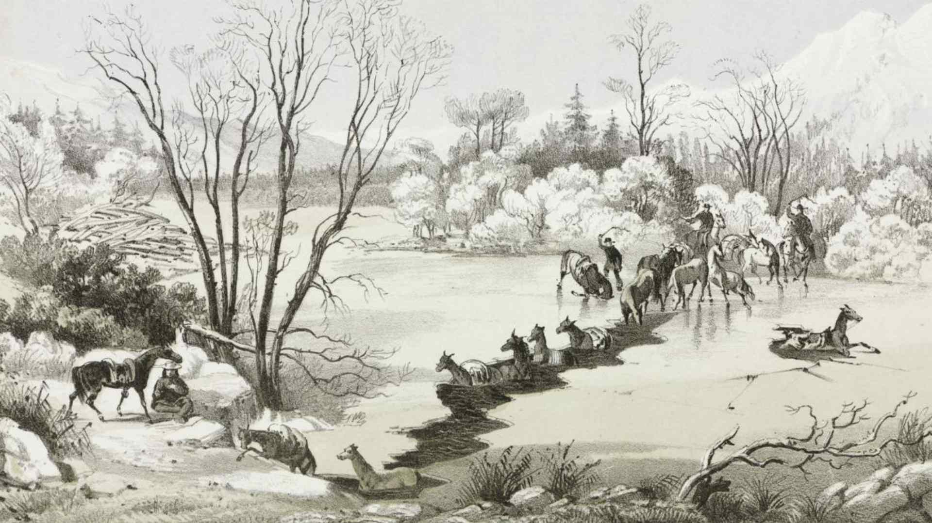 Explorers crossing the Hellgate River in Montana, 1854, where their horses fell into the frozen over river. (Credit: SSPL/Getty Images)