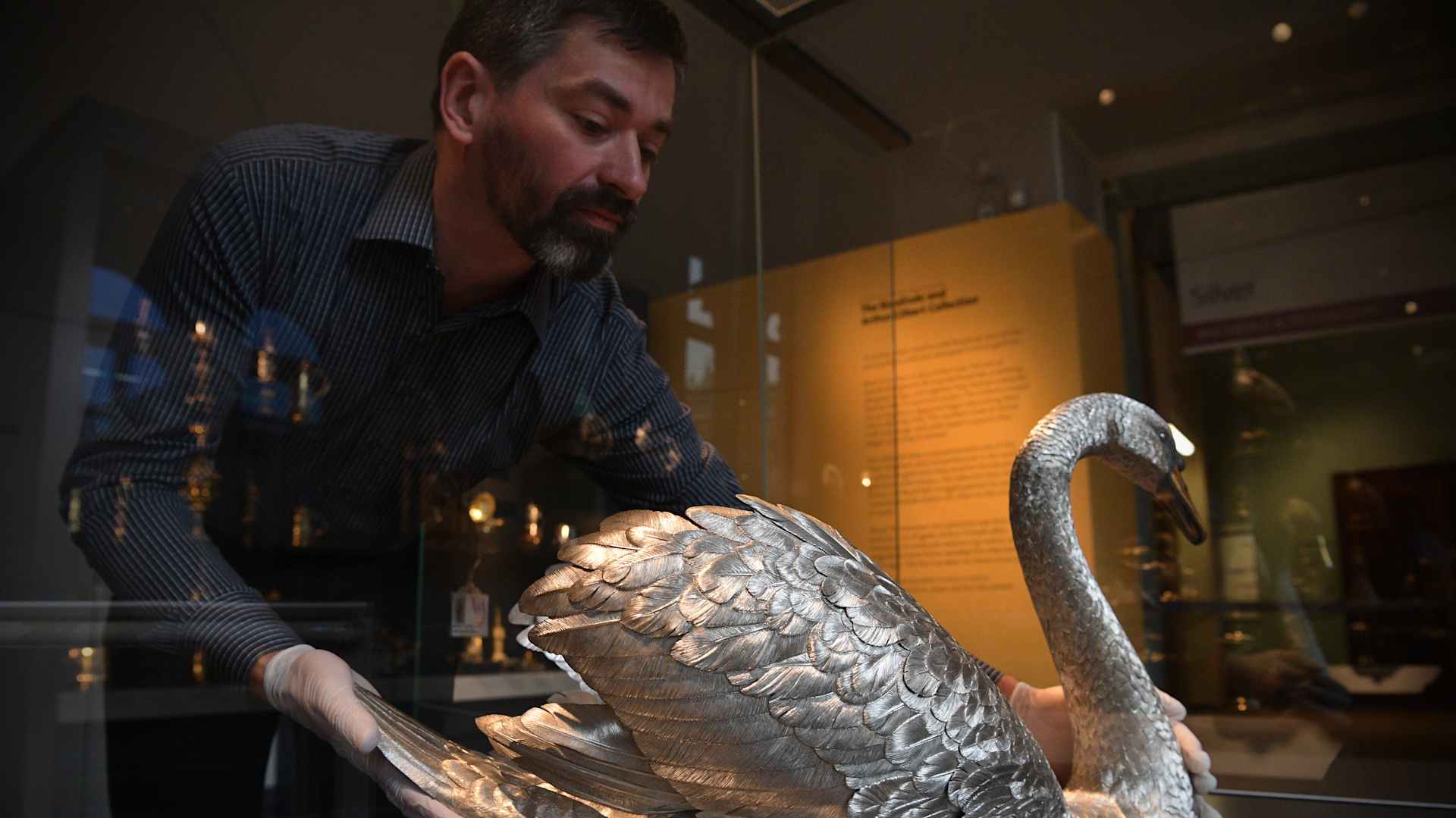 LONDON, ENGLAND - NOVEMBER 15: A curator holds a partially gilded and patinated silver, platinum Swan centrepiece made in 1985 during a press preview for the opening of the Rosalinde and Arthur Gilbert Galleries at the Victoria and Albert Museum on November 15, 2016 in London, England. The new exhibition features objects amassed by eclectic 20th century collectors Rosalinde and Arthur Gilbert and donated to the Museum in 2008. The suite of four galleries opens to the public on November 16 2016. (Photo by Carl Court/Getty Images)