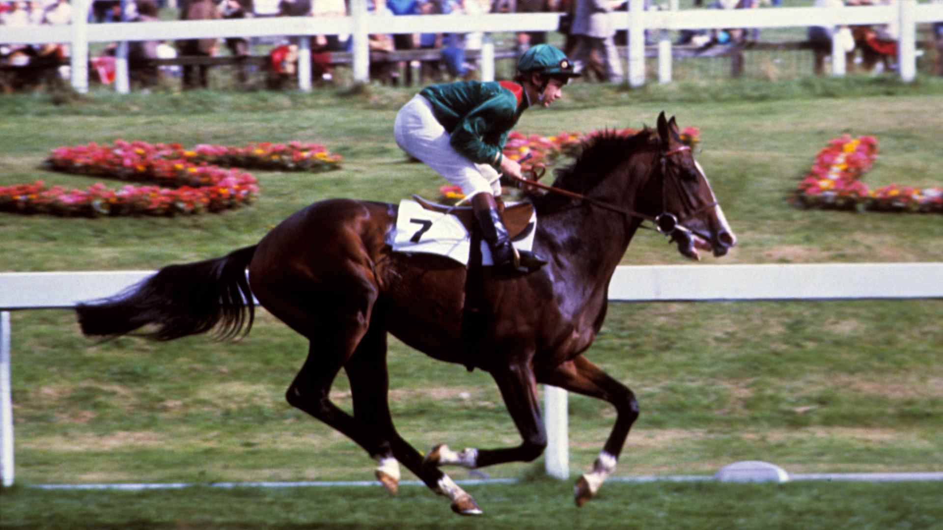 Walter Swinburn on Shergar in the St Leger Stakes at Doncaster