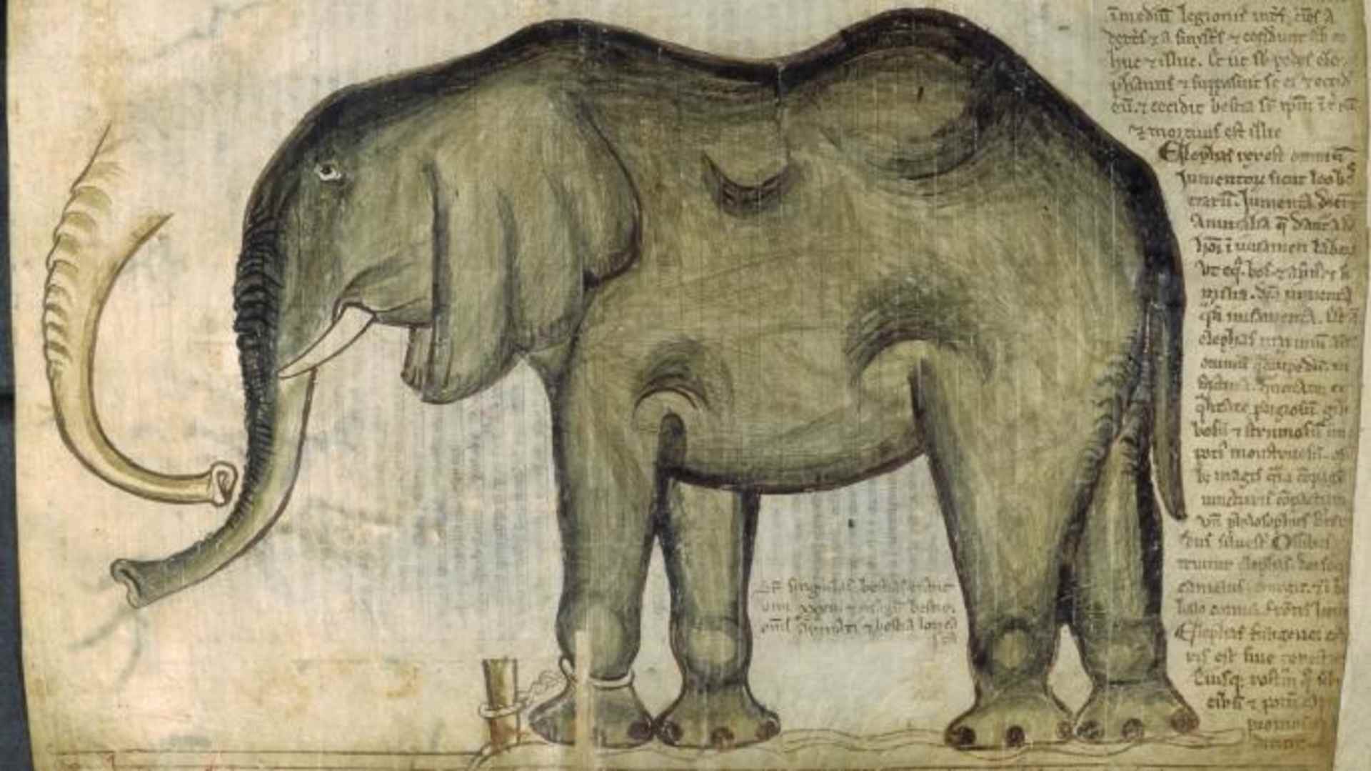 Henry III's elephant (Credit: British Library/Robana via Getty Images)
