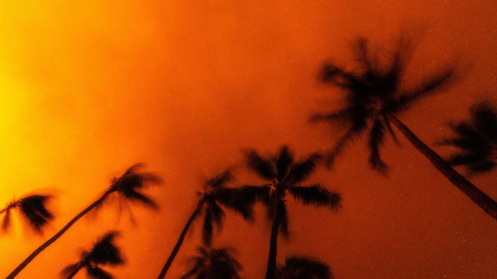 Wildfires in in Kaanapali, Maui, Hawaii.