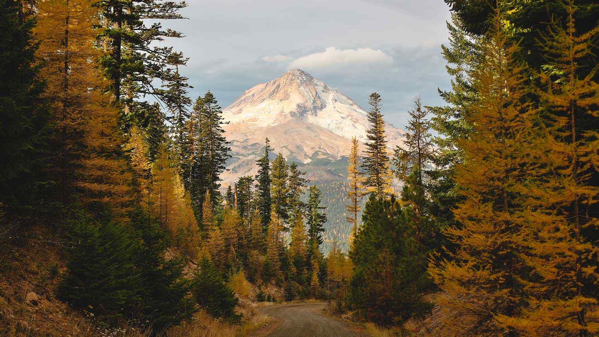 Mount Hood is located east of Portland, Oregon.