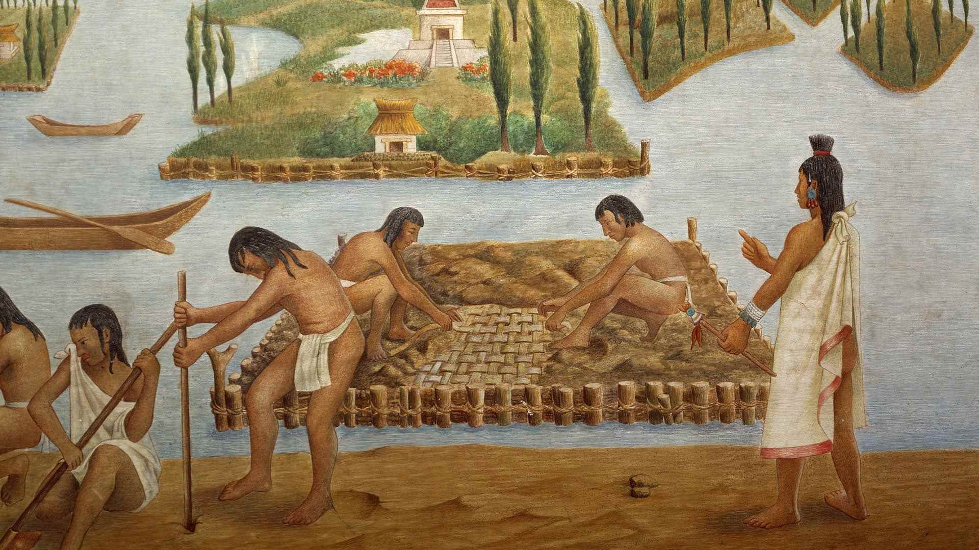 Native American Inventions: Chinampas