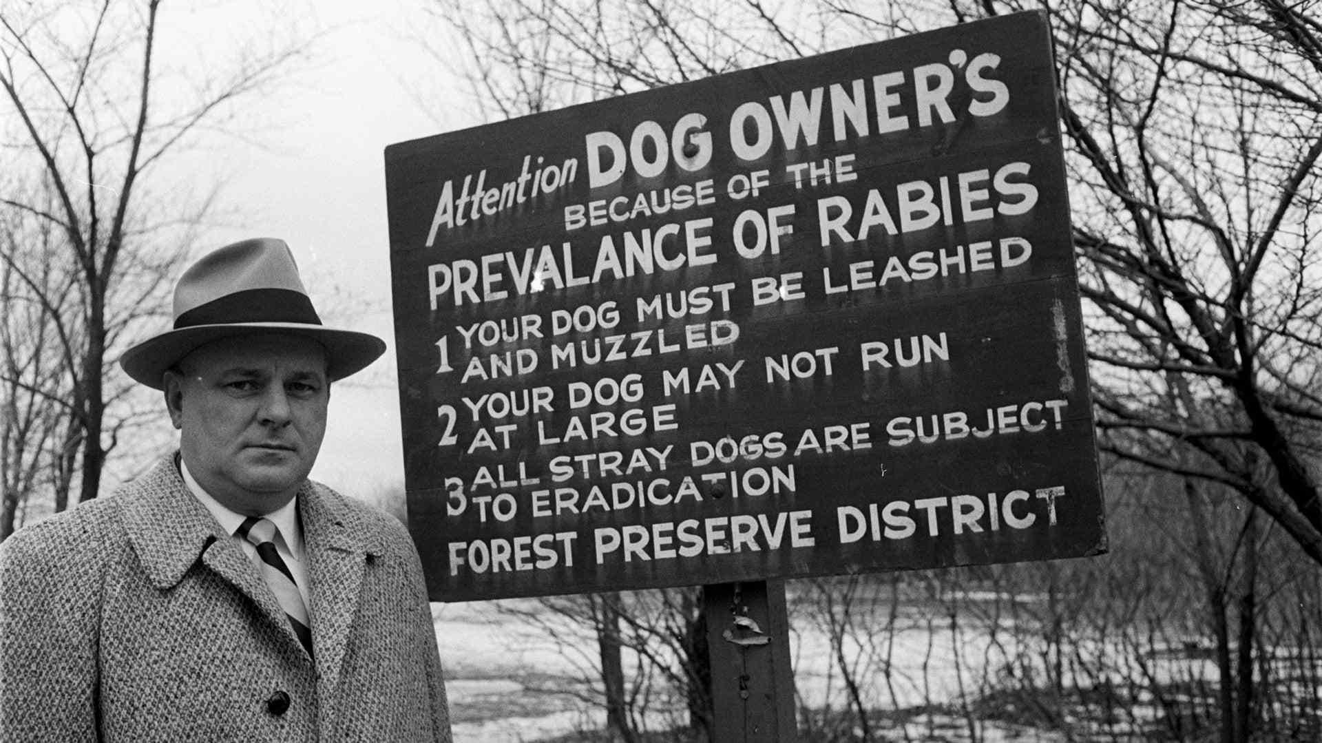 Rabies
