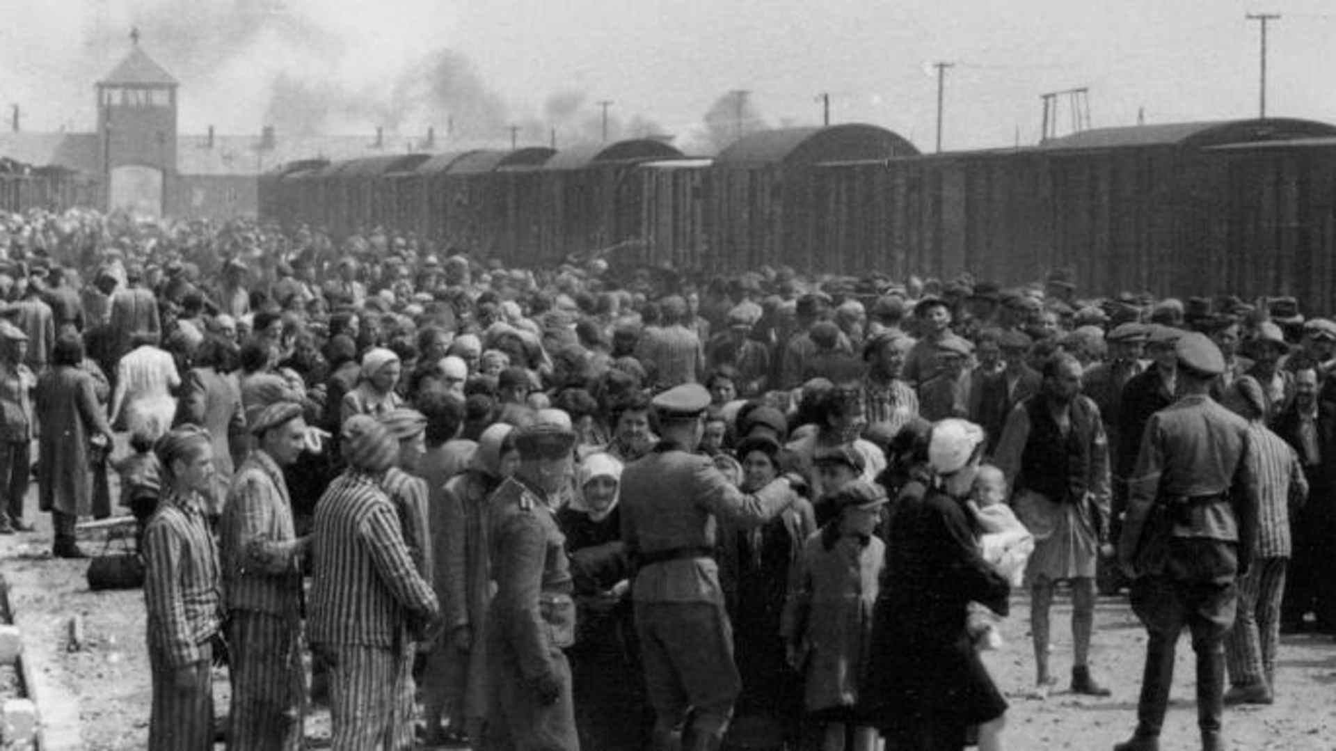"Selection" of Hungarian Jews on the ramp at the death camp Auschwitz-II (Birkenau). (Credit: Public Domain)
