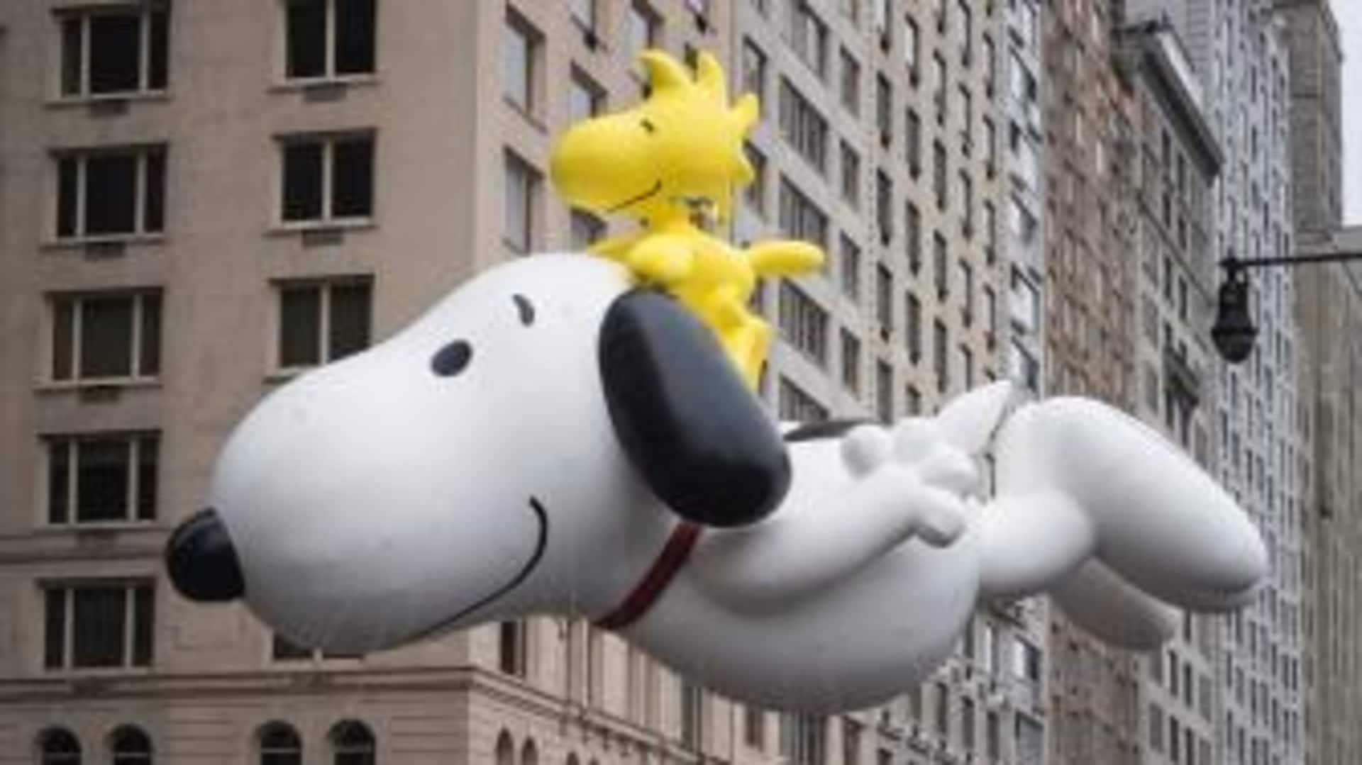 Snoopy balloon at the Macy's Thanksgiving Day Parade. (Credit: Zoran Milich/Getty Images)