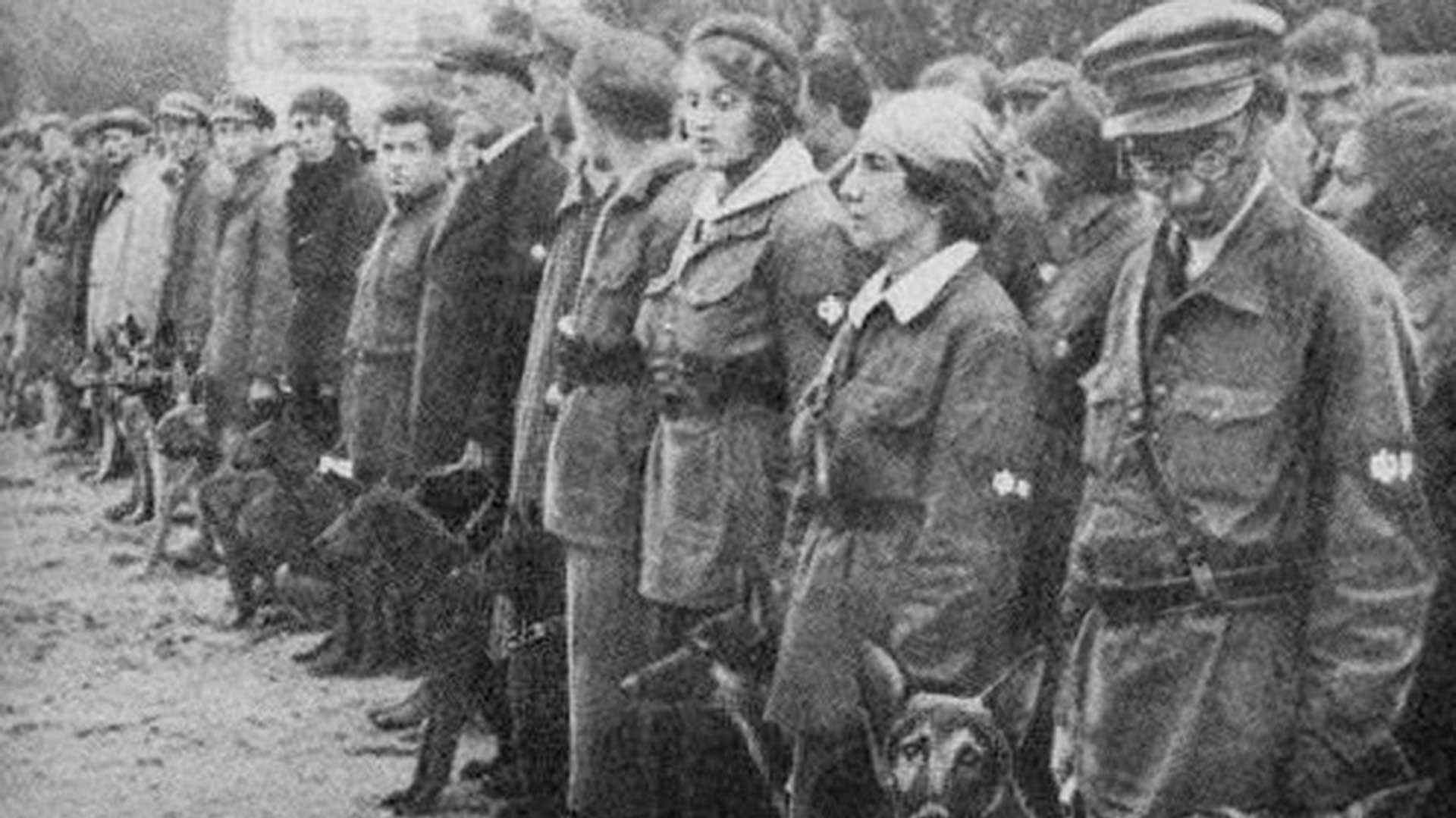 Soviet military dog training school
