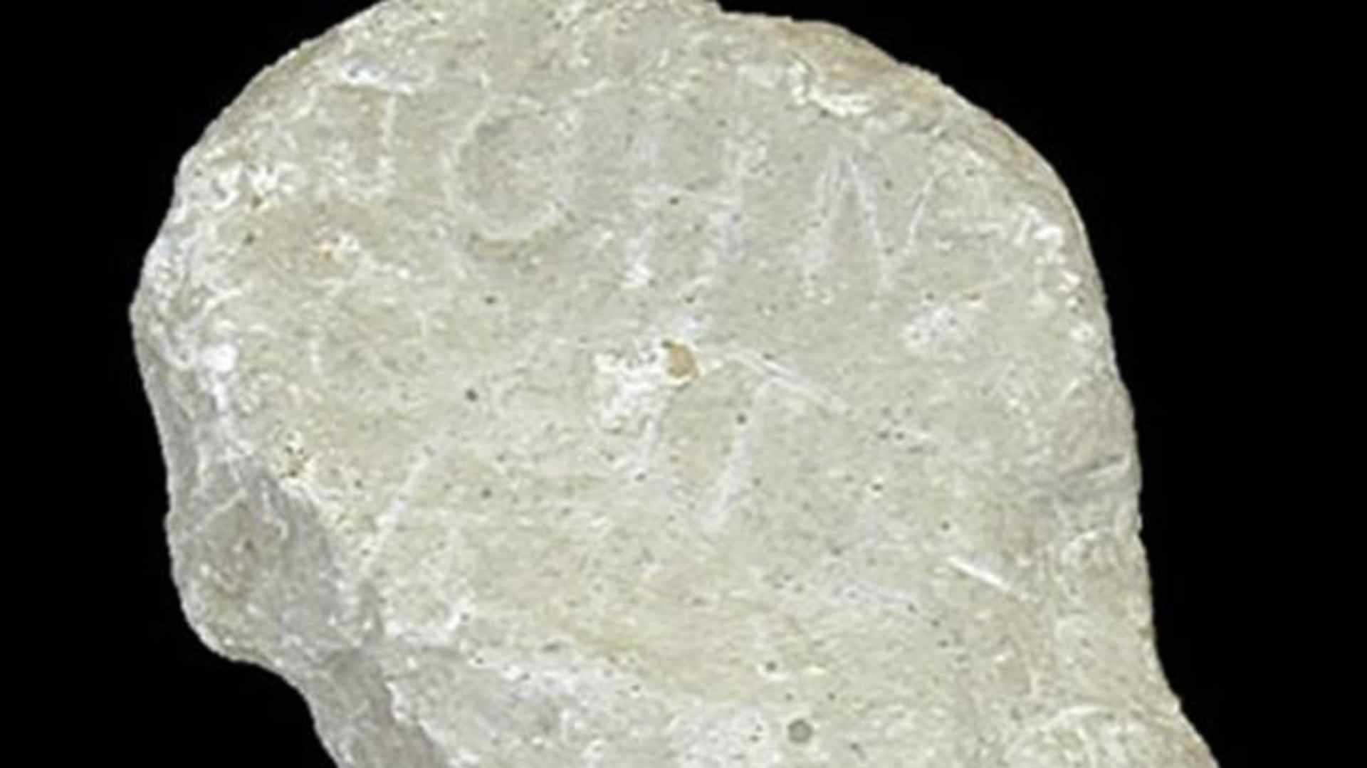 Stone with "John Colter" carved into it. (Credit: Public Domain)