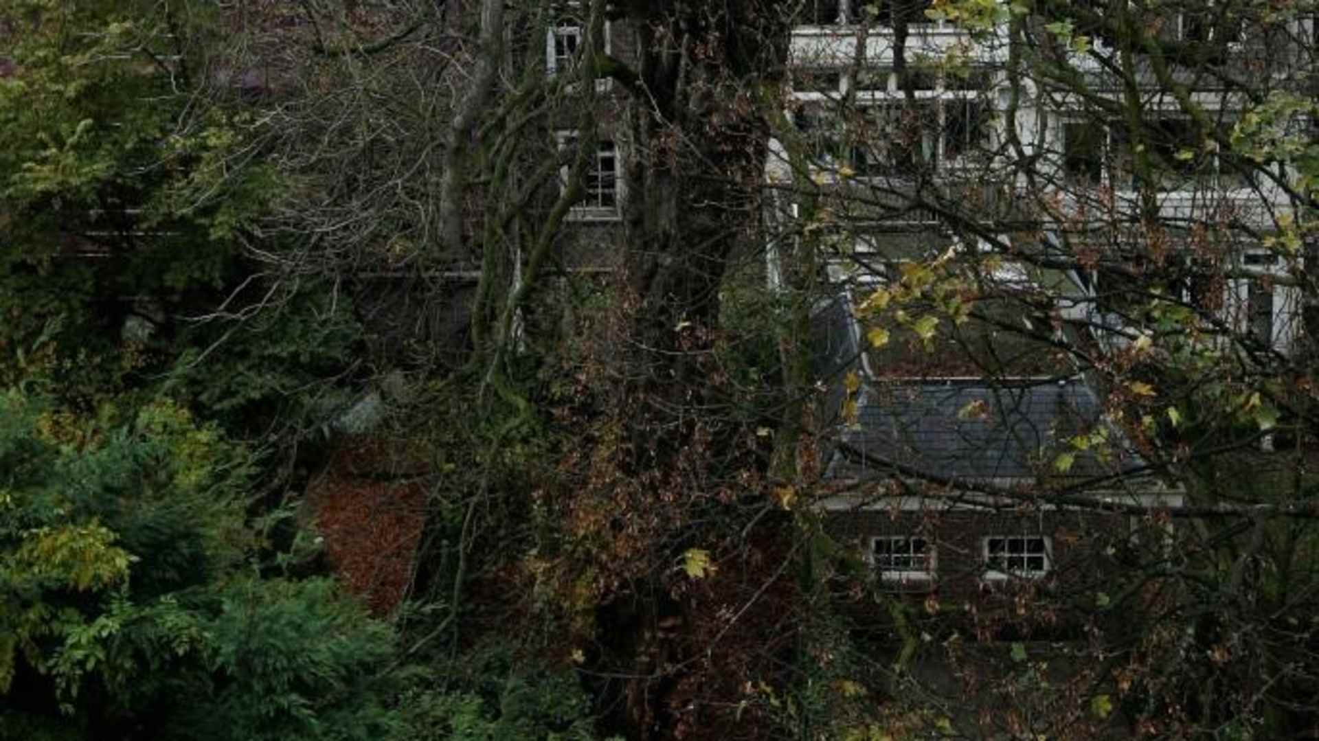 The chestnut tree in the backyard of the house in Amsterdam where Anne Frank and her family were hiding during World War II. (Credit: EVERT ELZINGA/AFP/Getty Images)