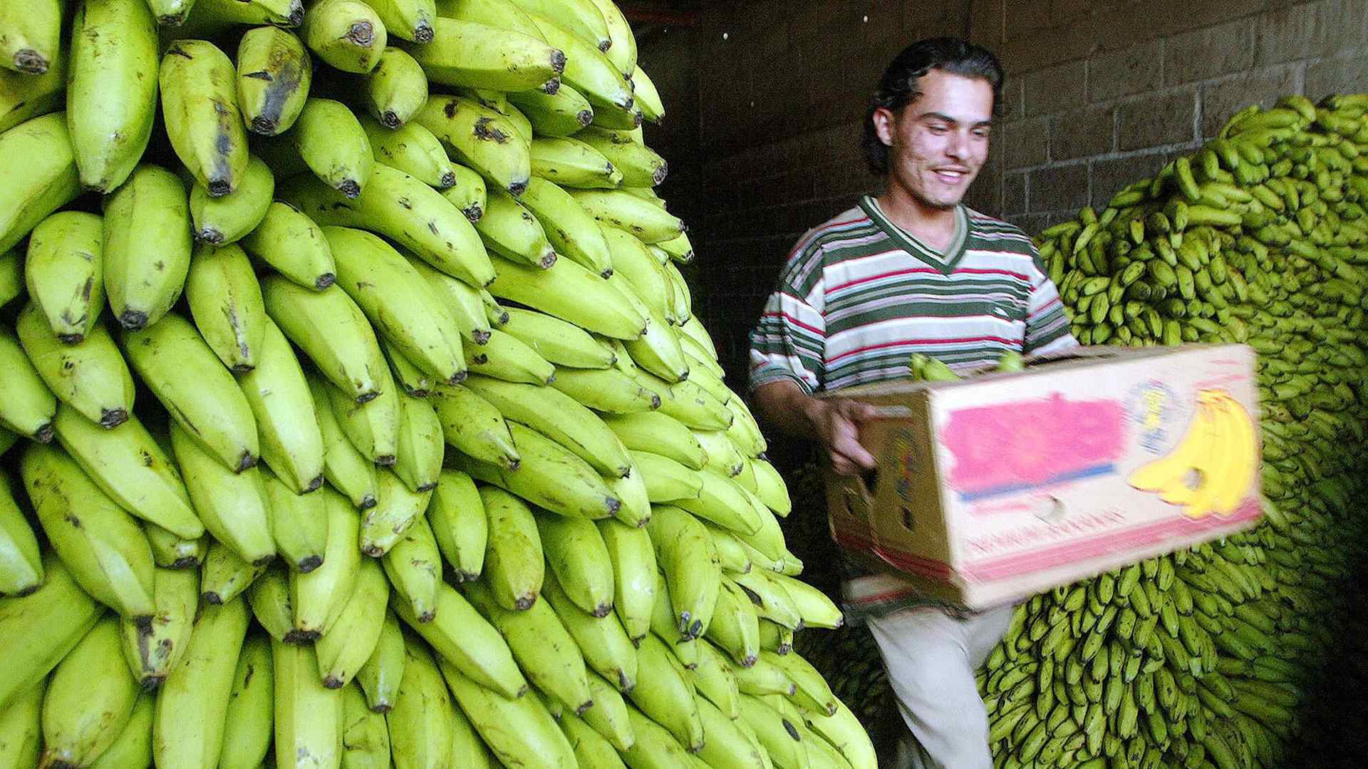 1993 Banana Wars