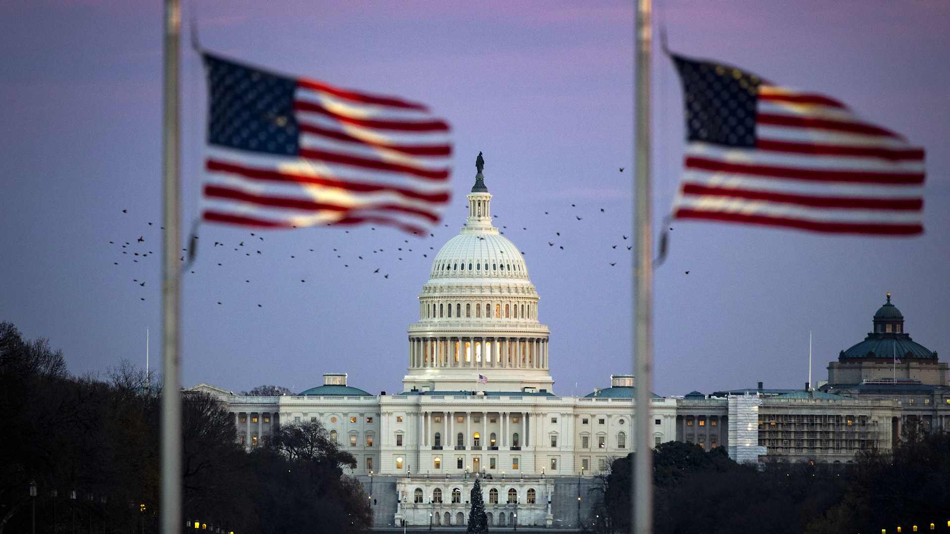 The U.S. Capitol is seen through American flags flying at half staff.