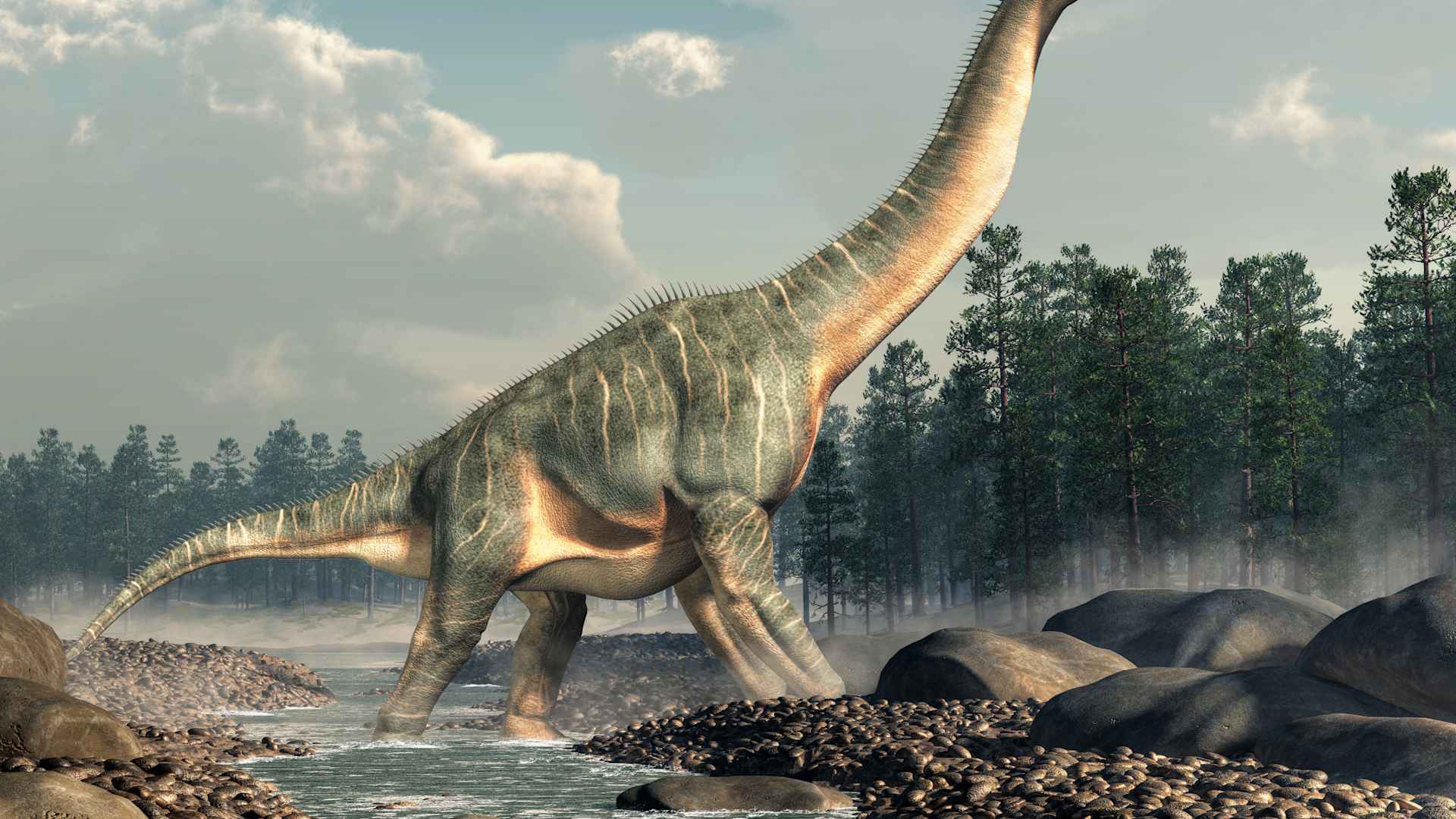 Brachiosaurus in a Stream