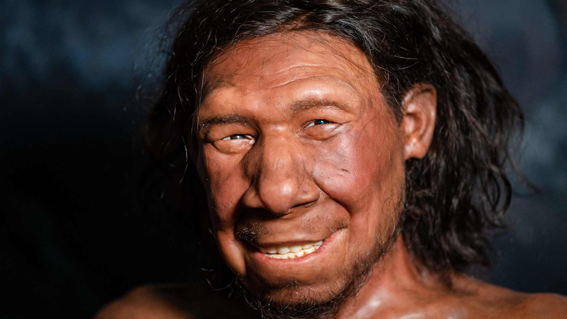 NETHERLANDS-SCIENCE-HUMAN-NEANDERTHAL-MUSEUM