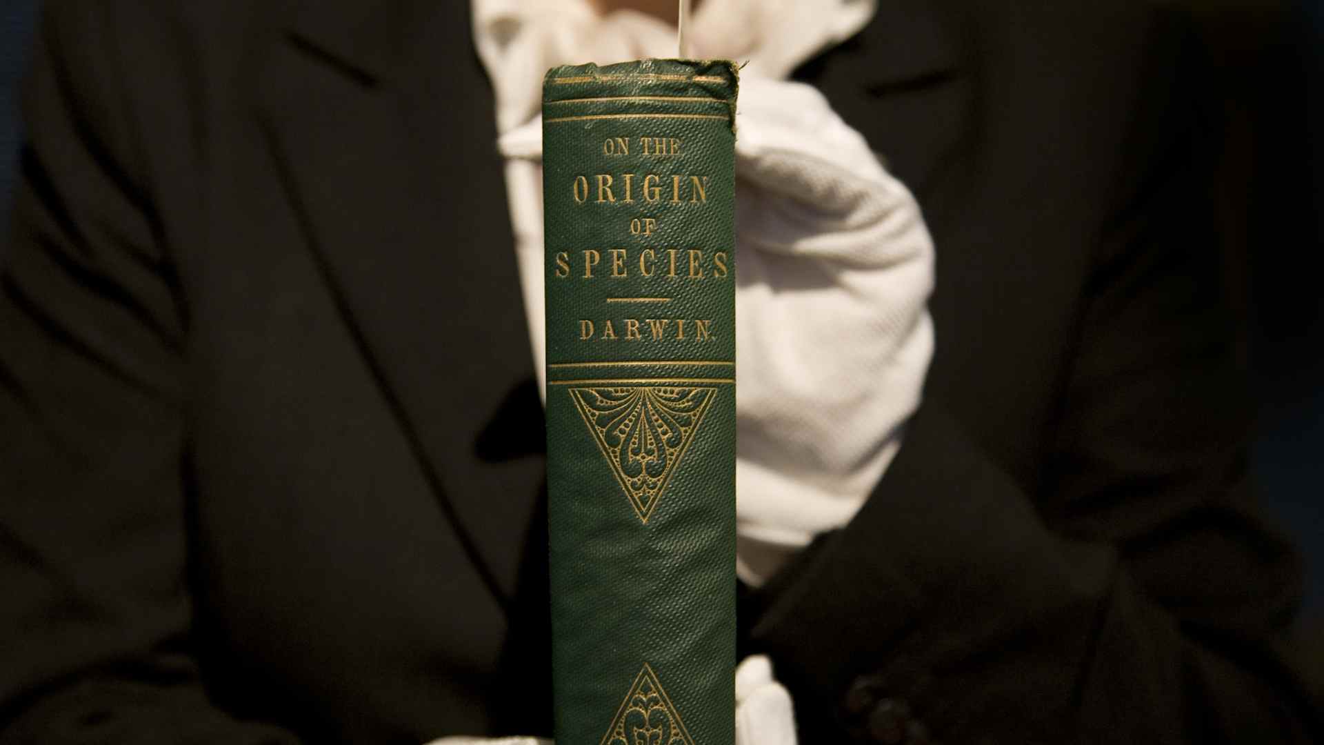 Origin Of Species First Edition - London