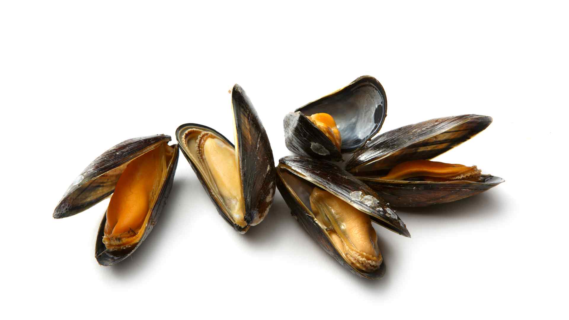 Seafood: Mussels