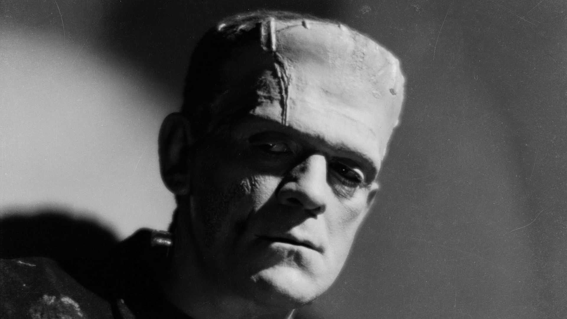English actor Boris Karloff reprises his role as the monster in 'Bride of Frankenstein,' directed by James Whale.