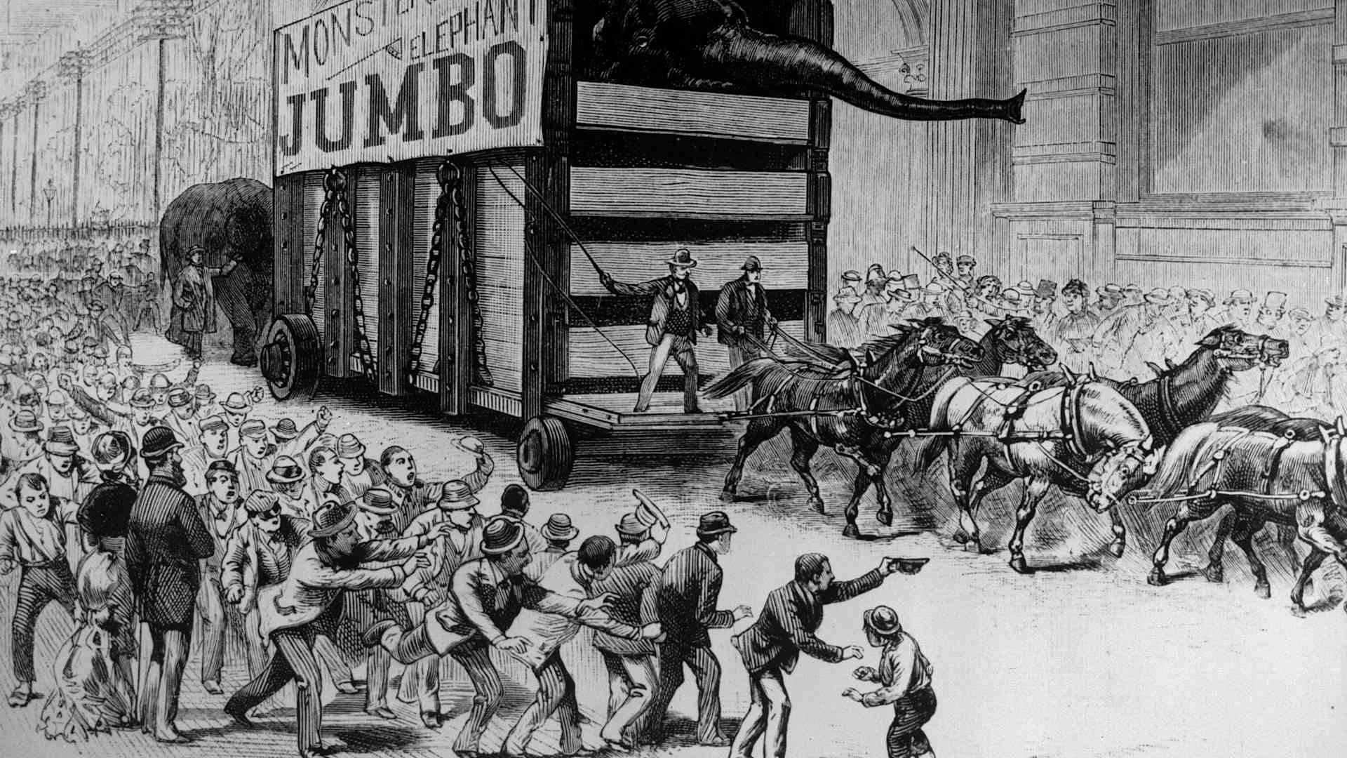 Showman P.T. Barnum hauls Jumbo, hailed as the largest elephant in captivity, down Broadway in New York City, in a trailer pulled by a team of horses and pushed by an elephant, on his arrival from England.