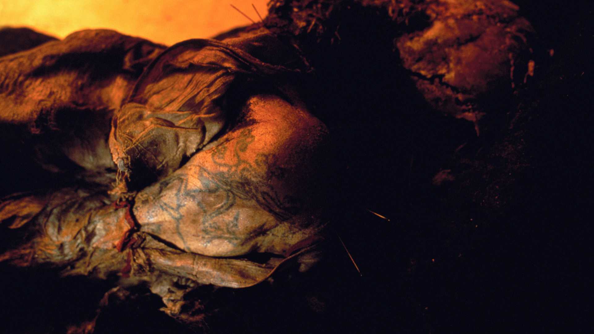 The mummified arm and shoulder of a mummy known as the Siberian Ice Maiden.