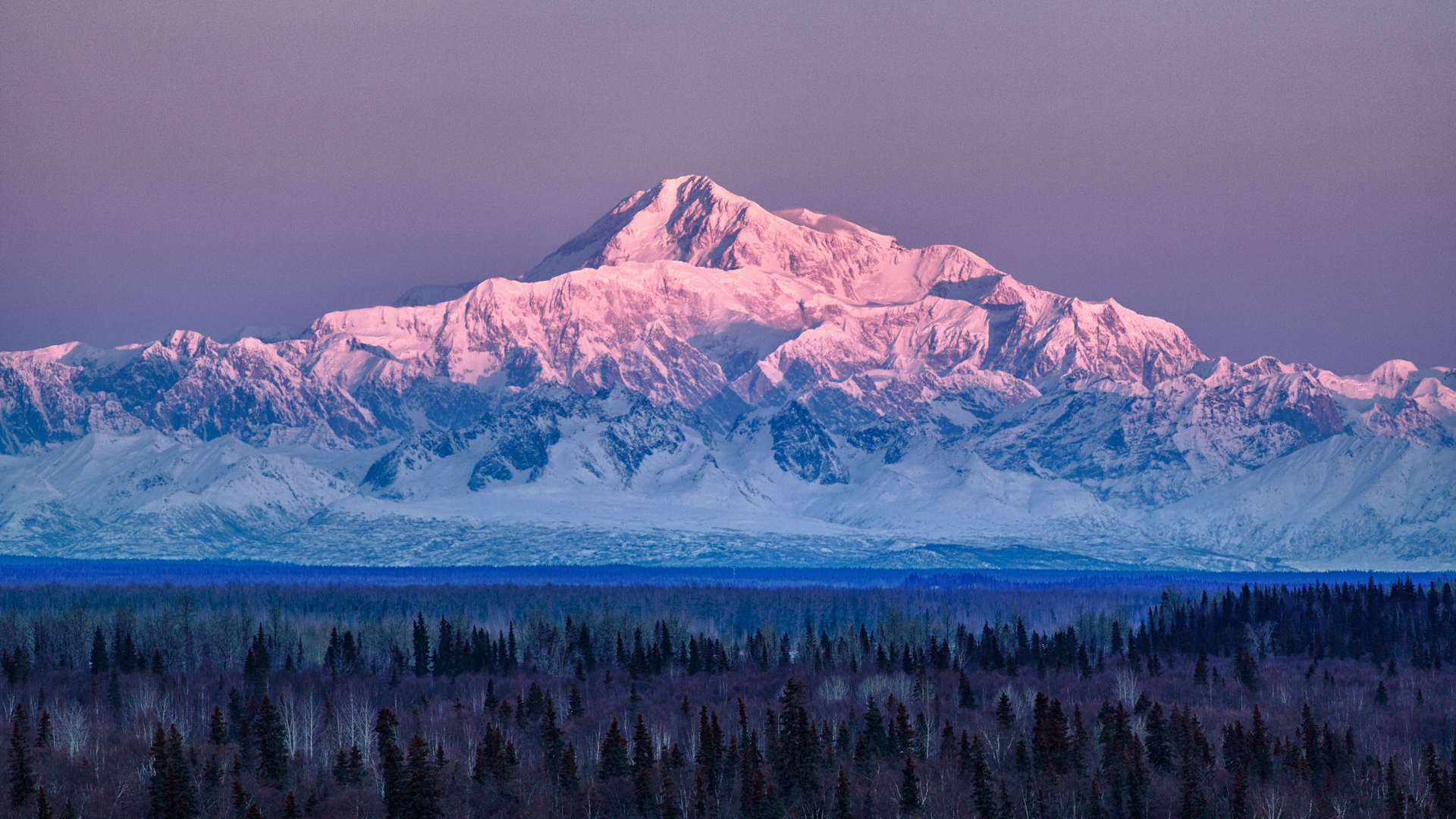 Denali at sunrise