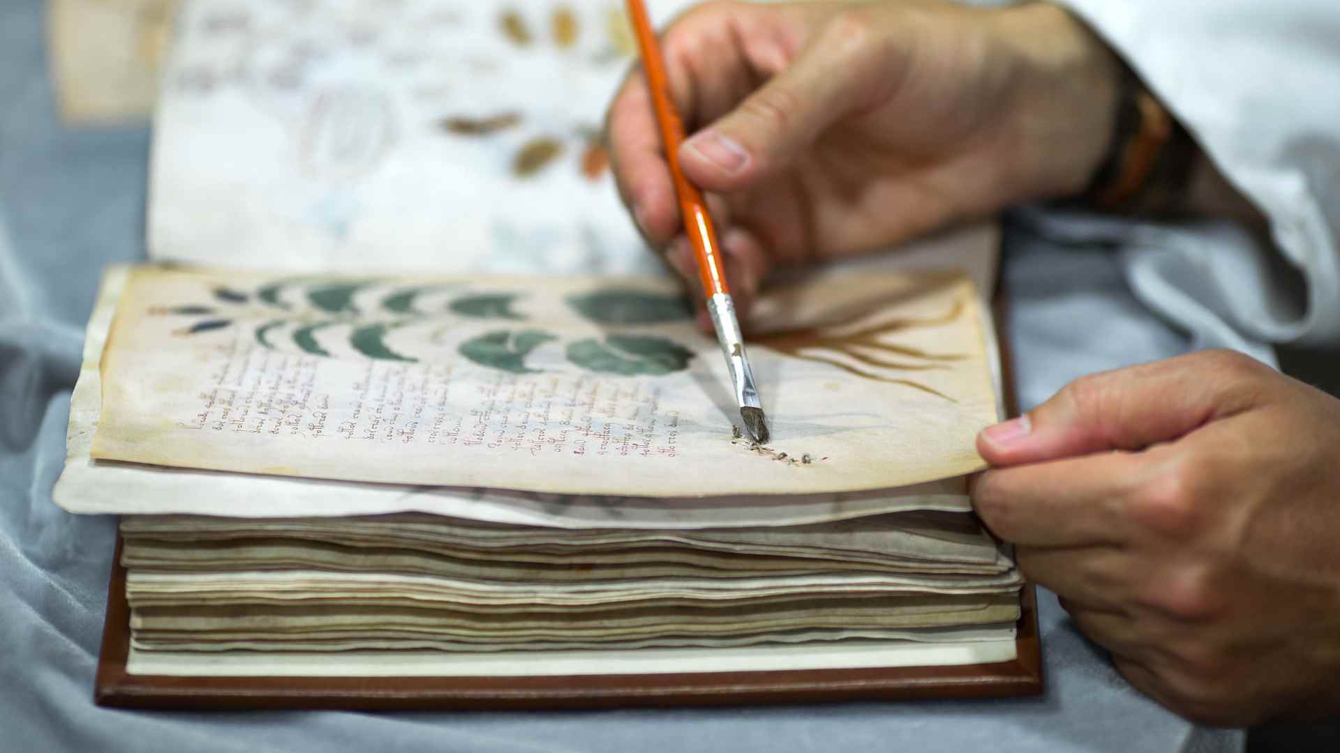 SPAIN-VOYNICH-BOOK-MYSTERY