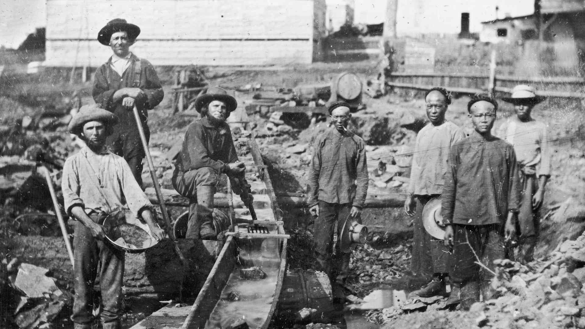 White And Chinese Gold Miners