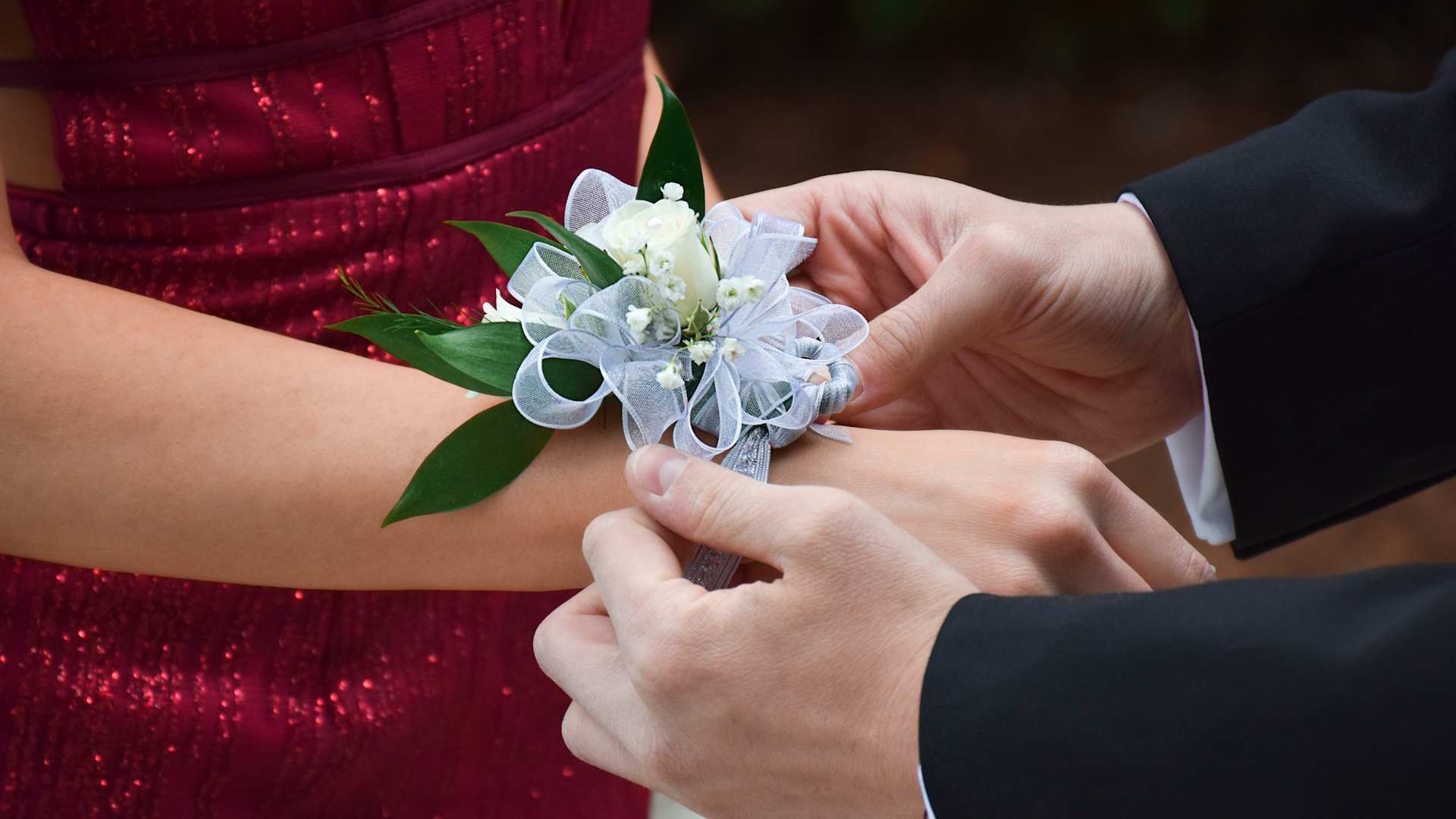 Young man putting white rose corsage on his prom date hand