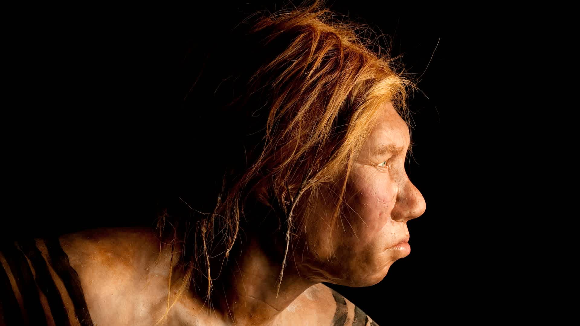 Neanderthal woman, recreation