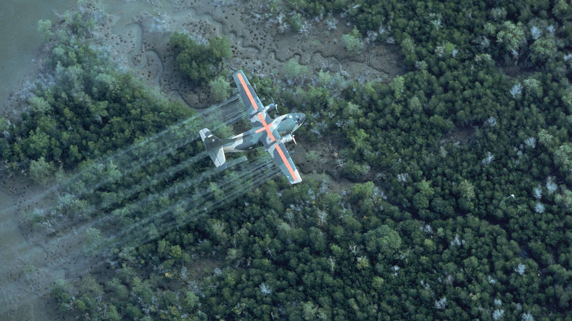 USAF UC 123K plane spraying delta area wUSAF UC 123K plane spraying delta area w. dioxin-tainted herbicide/defoliant Agent Orange, in Vietnam war defensive measure. 20 MI SE OF SAIGON (Photo by Dick Swanson/Getty Images)