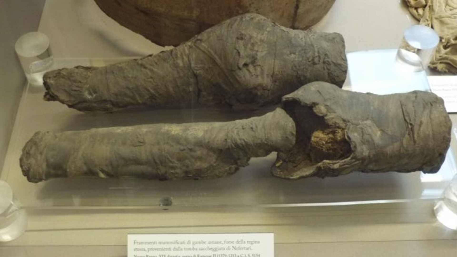 The mummified remains as shown in the 2014 exhibition in Museo Egizio Turin Suppl. (Credit: Museo Egizio Turin Suppl)