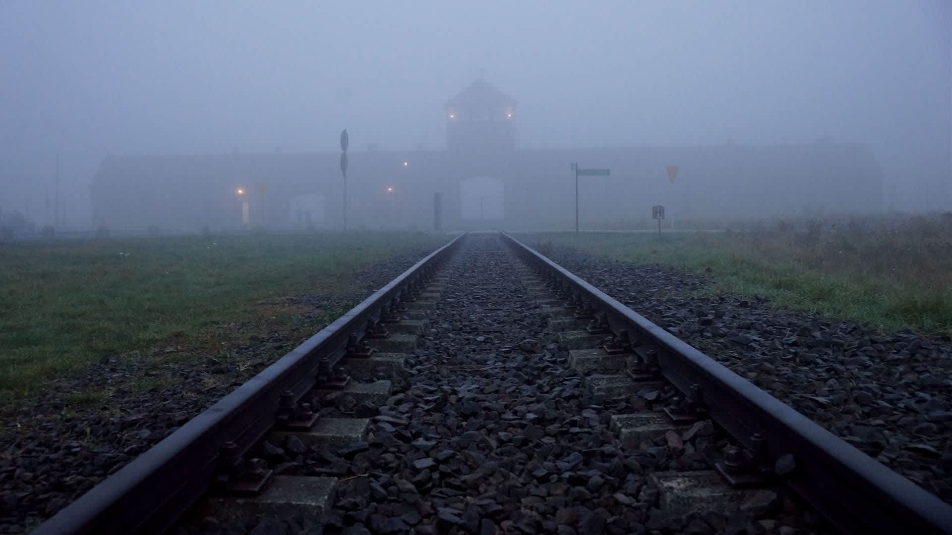 Auschwitz Survivor Stories