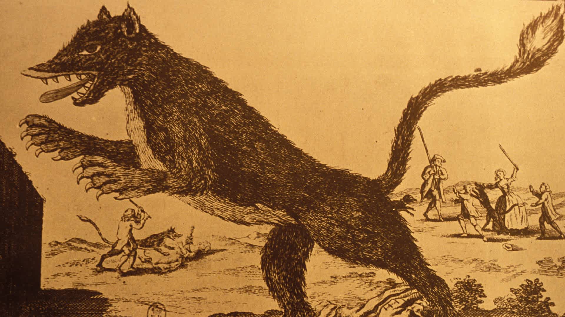 The Beast of Gevaudan