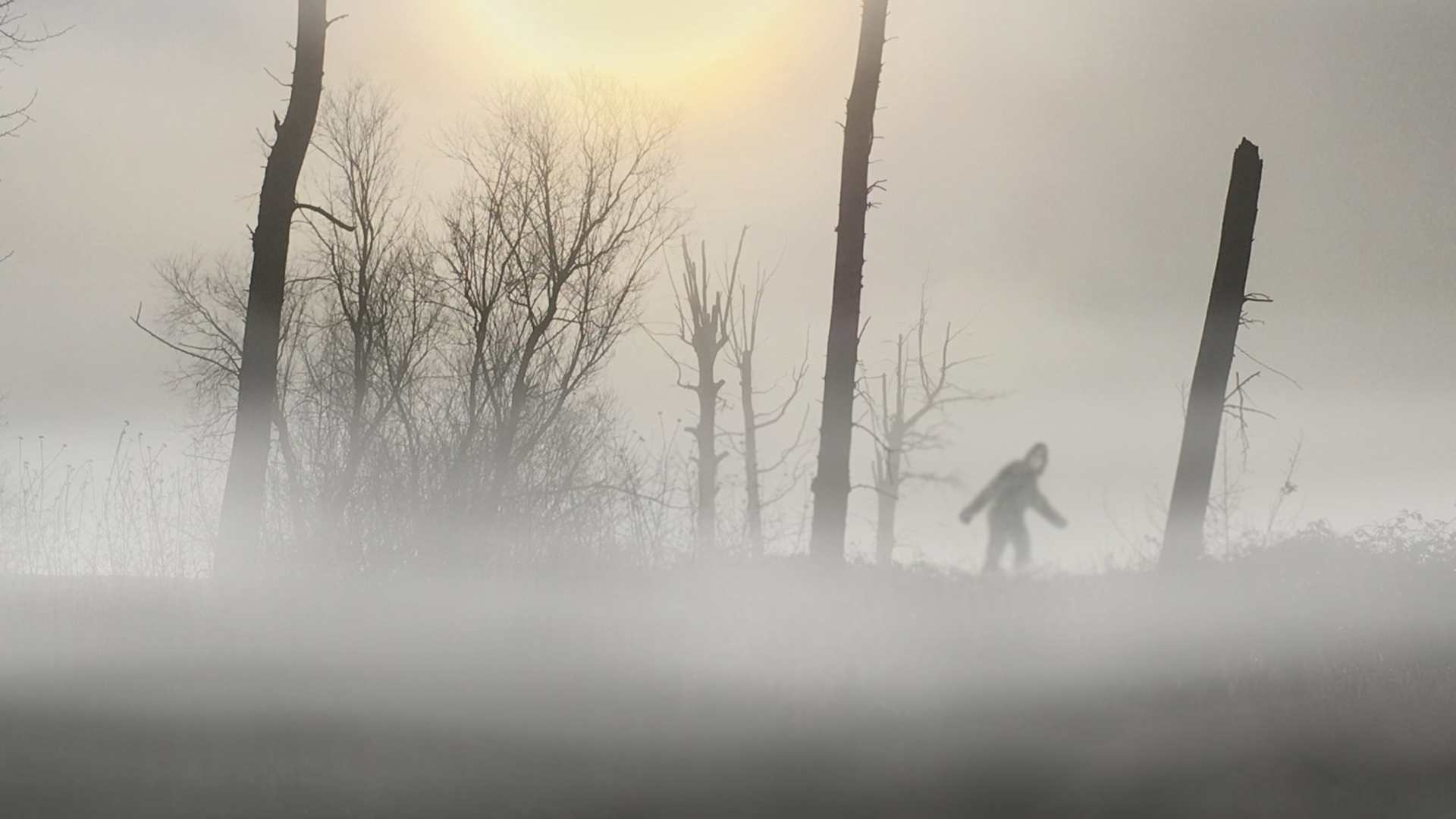 Bigfoot