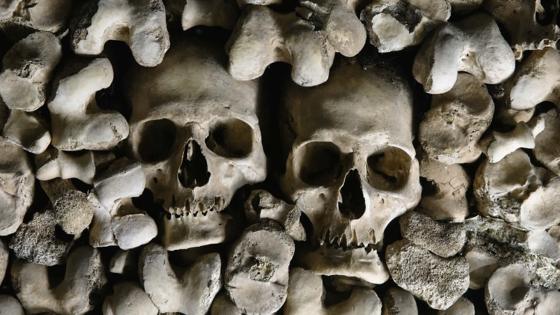 Medieval 'Black Death' Was Airborne, Scientists Say
