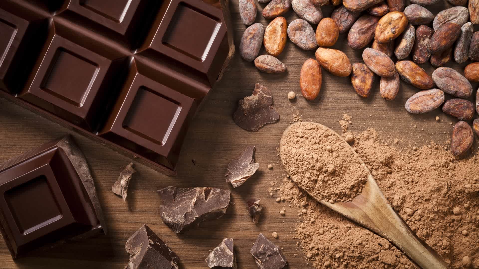 The History of Chocolate