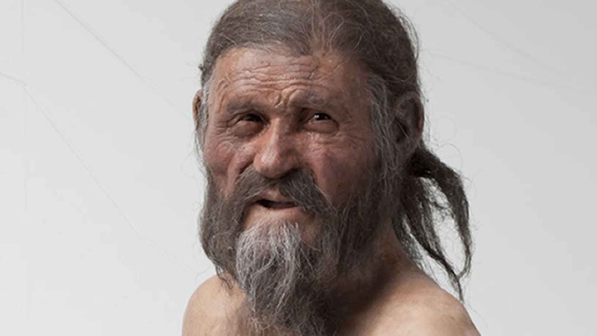 The Iceman's reconstruction by Alfons &amp; Adrie Kennis. (Credit: South Tyrol Museum of Archaeology/Ochsenreiter)