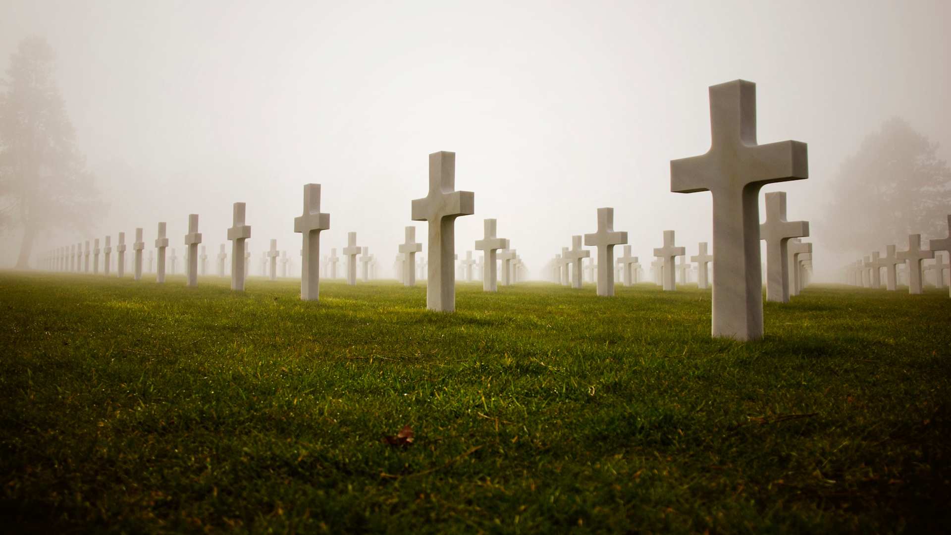 How Many Were Killed on D-Day?