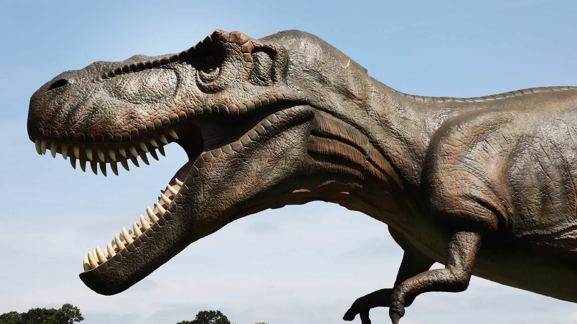"Jurassic Encounter" At London Launch - Press Day LONDON, ENGLAND - JULY 23: A Dinosaur during "Jurassic Encounter" London launch at Grovelands Park on July 23, 2021 in London, England. (Photo by Lia Toby/Getty Images)
