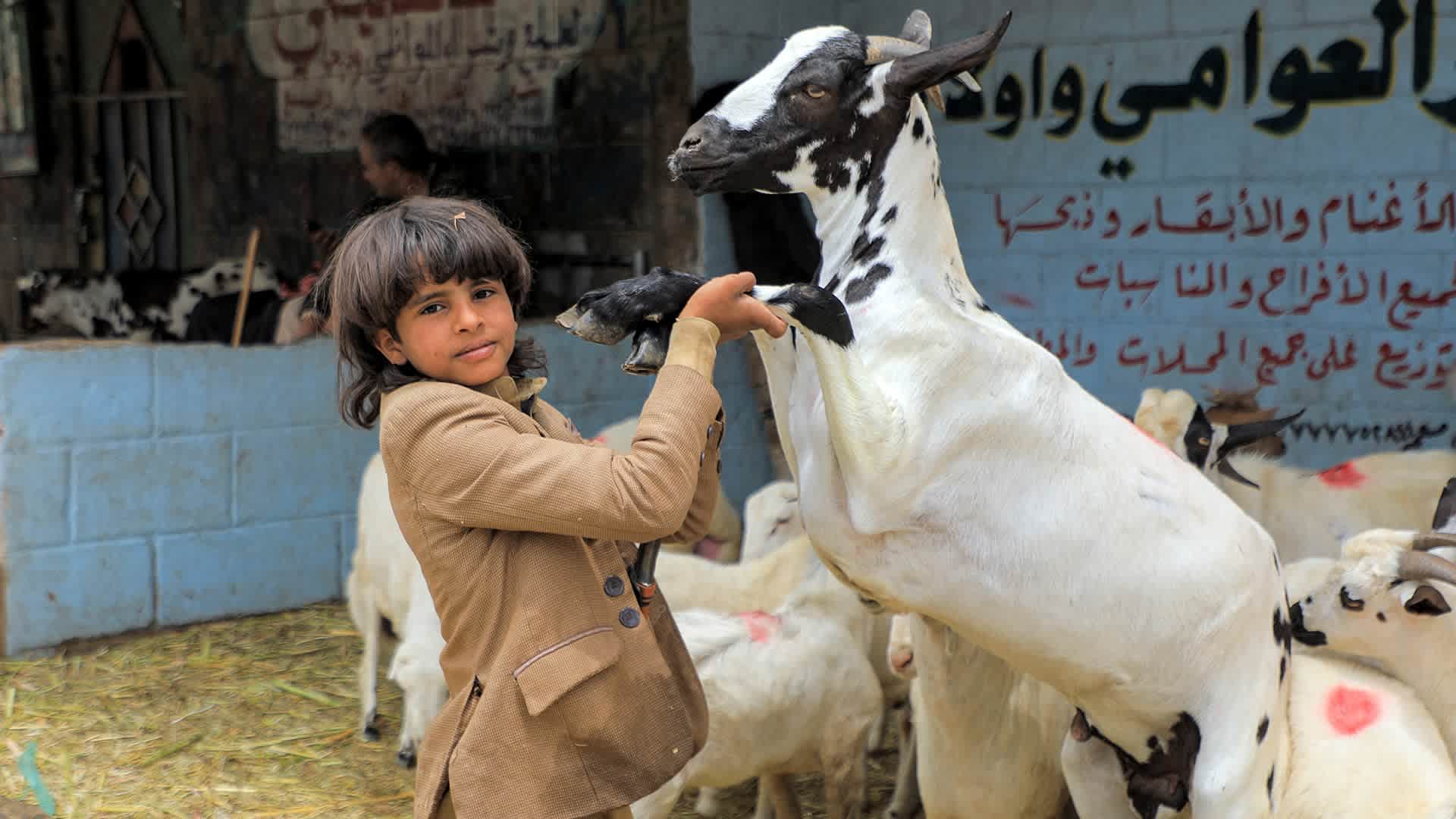 A boy holds the front legs of a goat at a livestock market in Yemen's capital Sanaa on July 14, 2021, as people buy provisions in preparation for the Eid al-Adha holiday celebrations. - Known as the "big" festival, Eid Al-Adha is celebrated each year by Muslims sacrificing various animals according to religious traditions, including cows, camels, goats and sheep.