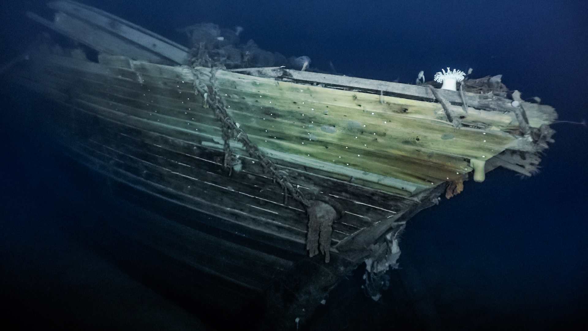 The Endurance appears to have sunk keel-first, with the bow first impacting the Weddell Sea floor.