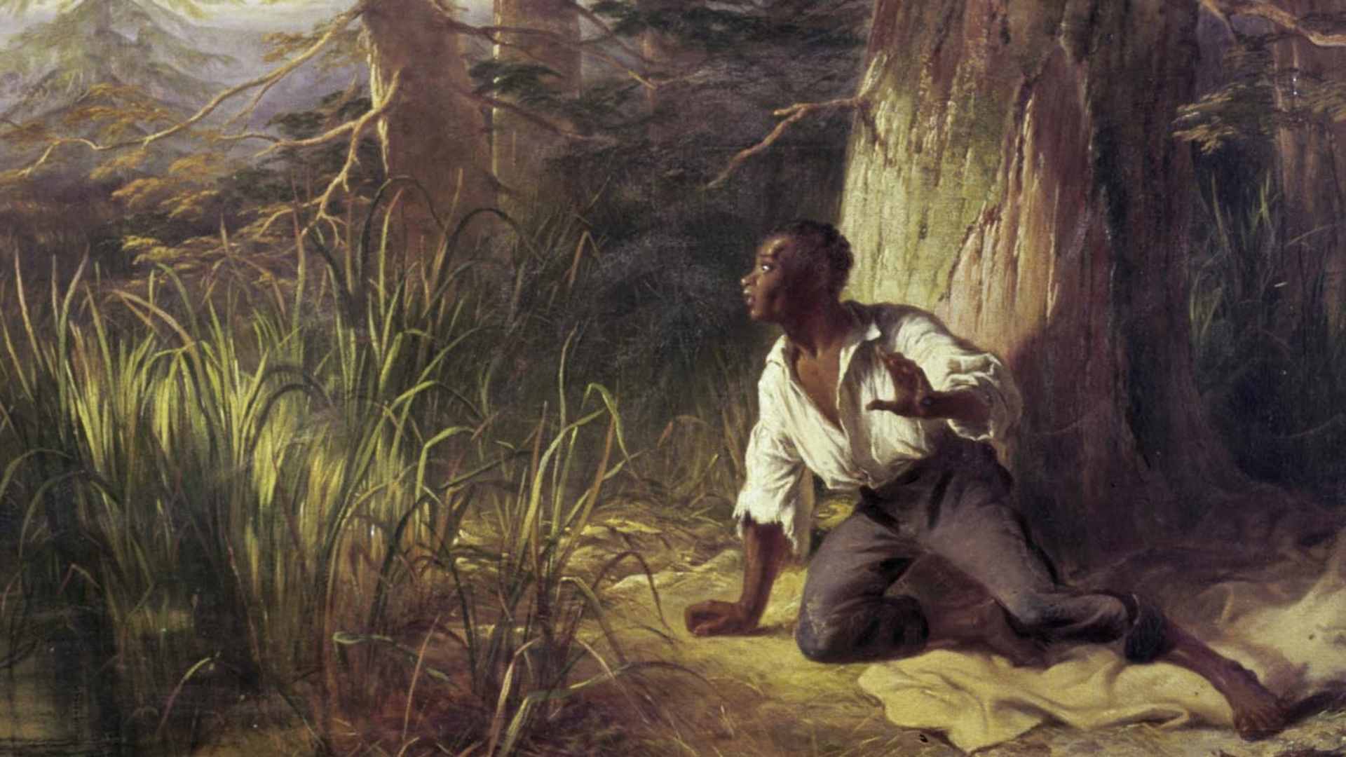 Fugitive Slave