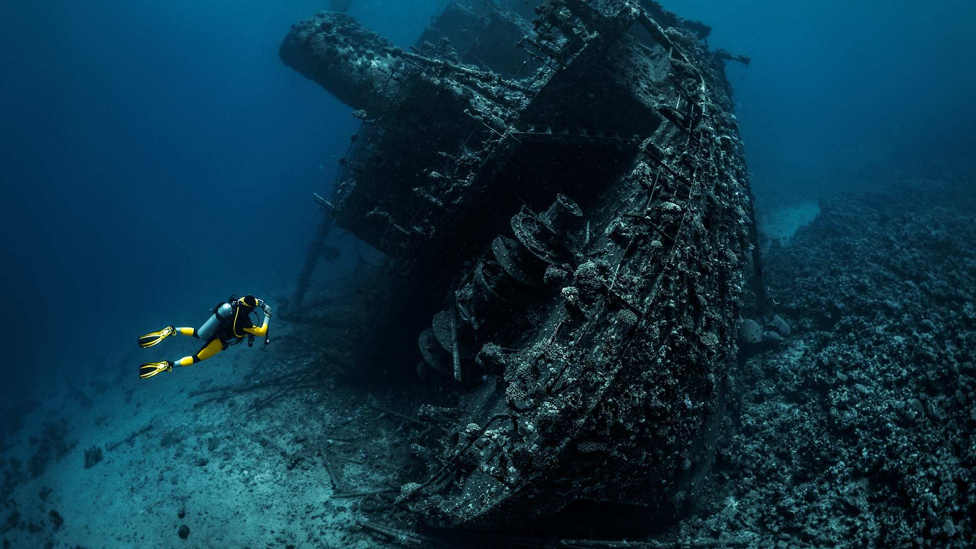 A scuba diver observes a shipwreck in the Red Sea.