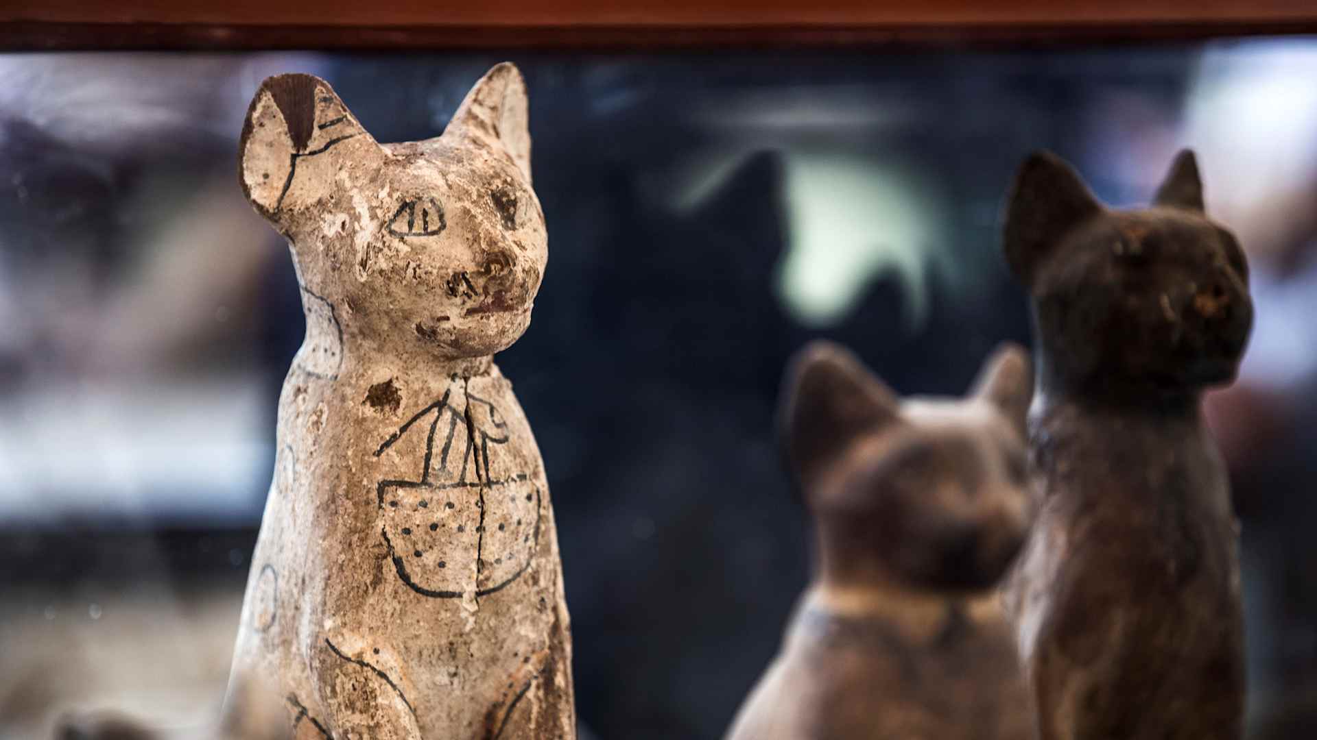 Statues of cats are displayed after the announcement of a new discovery carried out by an Egyptian archaeological team in Giza's Saqqara necropolis, south of the capital Cairo, on November 23, 2019. - Egypt today unveiled a cache of 75 wooden and bronze statues and five lion cub mummies decorated with hieroglyphics at the Saqqara necropolis near the Giza pyramids in Cairo. Mummified cats, cobras, crocodiles and scarabs were also unearthed among the well-preserved mummies and other objects discovered recently. (Photo by Khaled DESOUKI / AFP) (Photo by KHALED DESOUKI/AFP via Getty Images)