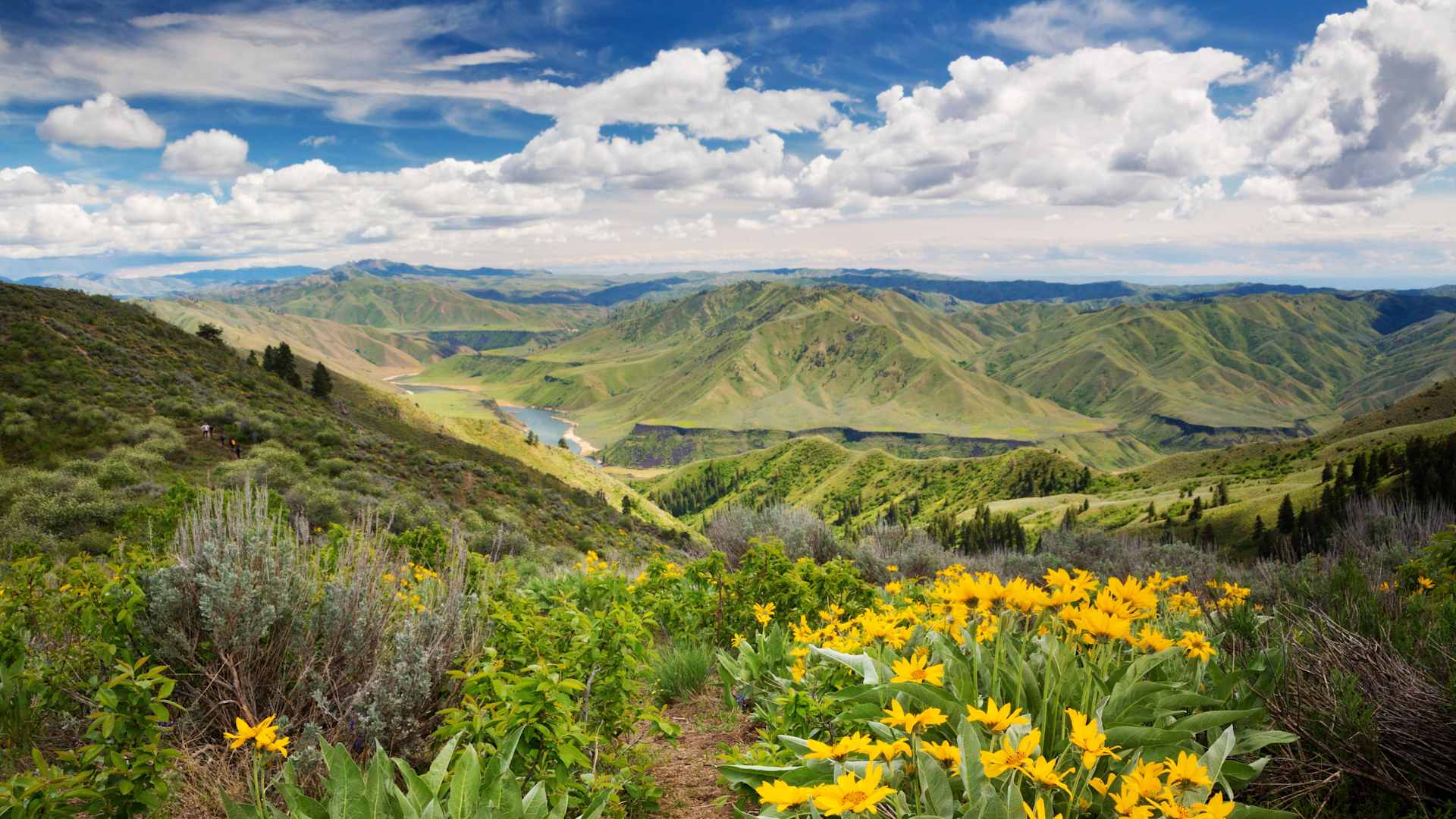 A scenic view in Idaho.