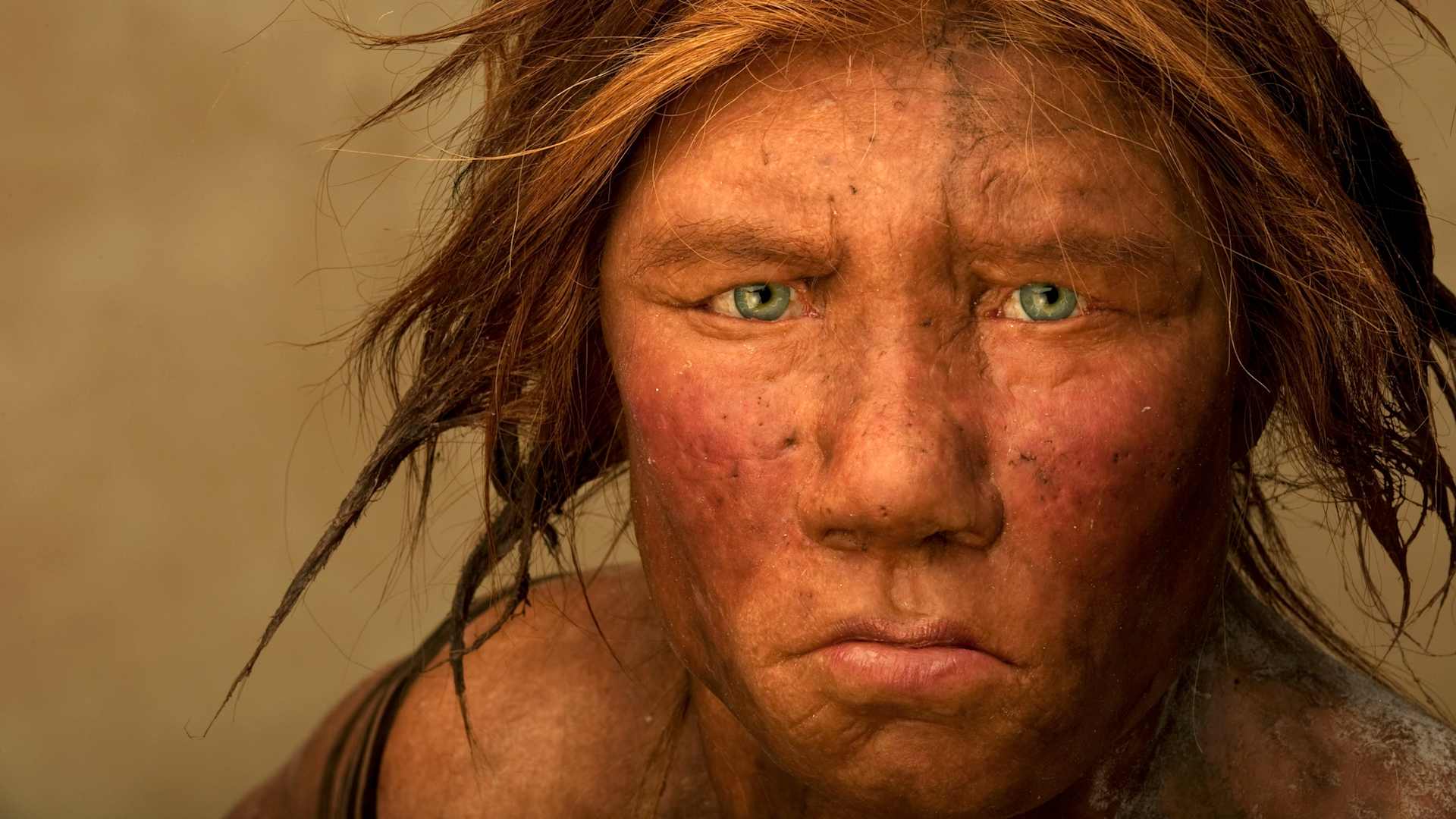 The Neanderthal woman was re-created and built by Dutch artists Andrie and Alfons Kennis. Research including fossil anatomy and a detailed study of DNA is present in the color of the skin and eyes. (Photo by Joe McNally/Getty Images)