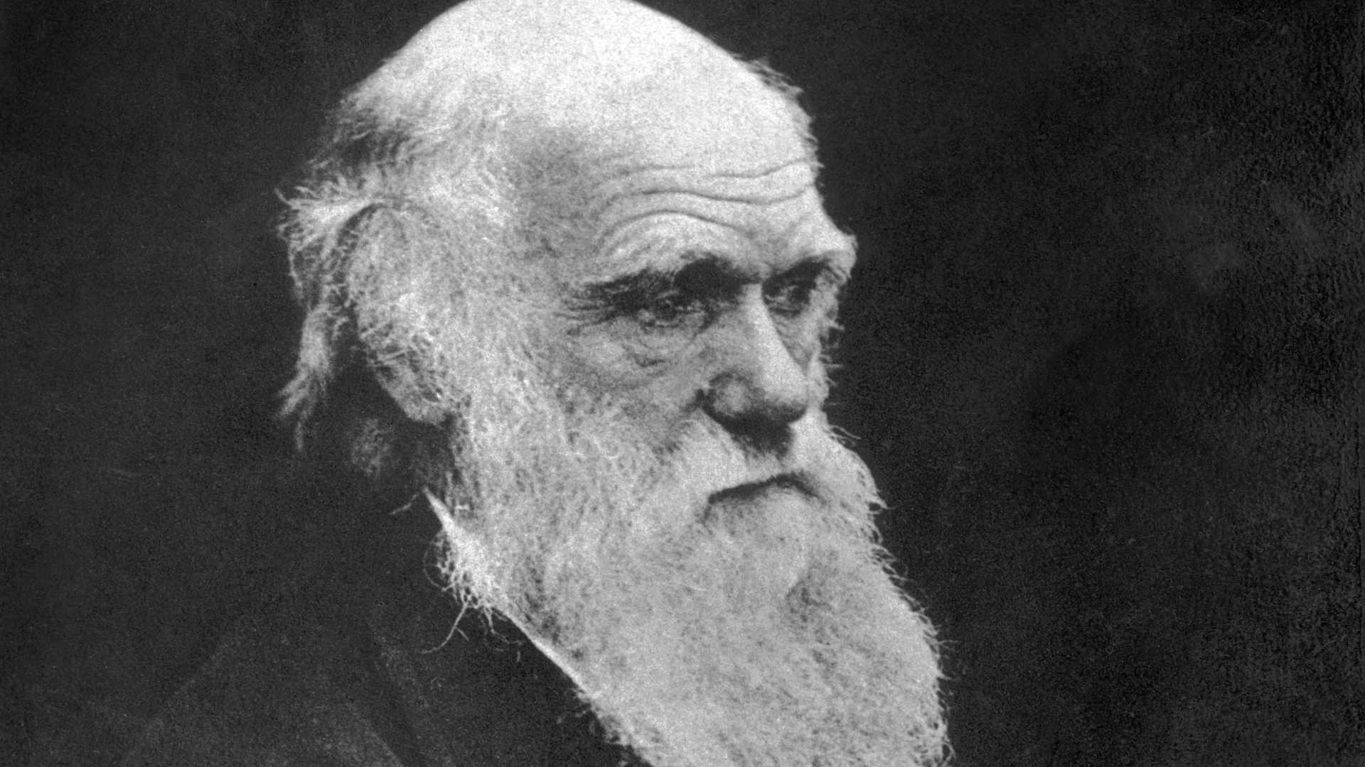 English naturalist and co-originator of the theory of evolution, Charles Darwin (1809 - 1882)