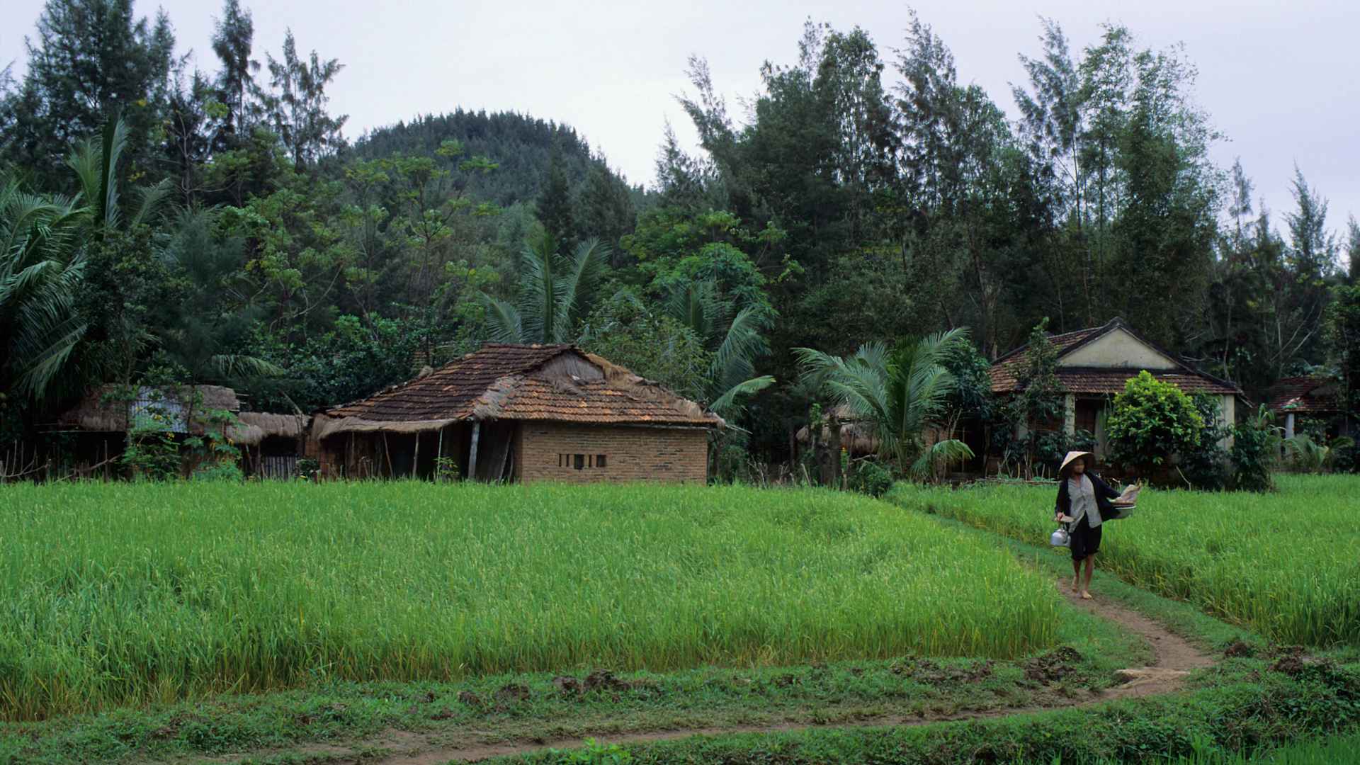 Vietnam, My Lai Village, (site of the Lai Massacre, March 16, 1968). (Photo by Wolfgang Kaehler/LightRocket via Getty Images)