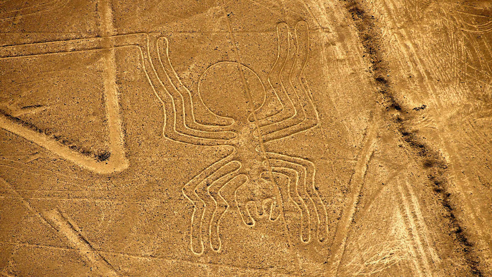 Aerial view of the Spider (46 meters long) at Nazca Lines, some 435 km south of Lima, Peru on December 11, 2014. Geoglyphs can be seen only from atop the surrounding foothills or from aircrafts. The purpose of the Nazca lines remains unclear, according some scientists the Nazca people created them to be seen by their gods in the sky.