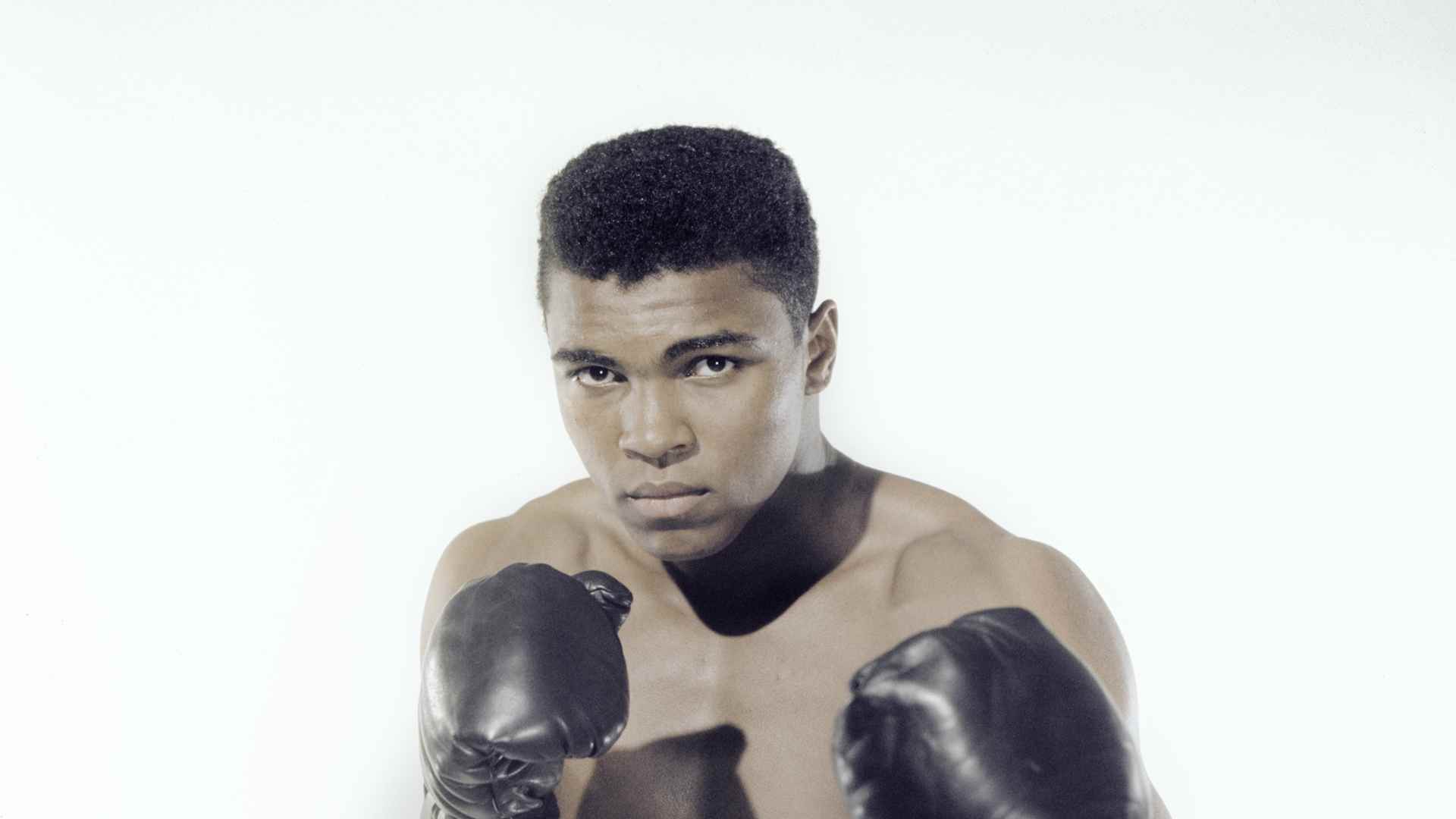 BRONX, NY - MAY 17: Cassius Clay, 20 year old heavyweight contender from Louisville, Kentucky poses for the camera on May 17, 1962 in Bronx, New York. (Photo by Stanley Weston/Getty Images)